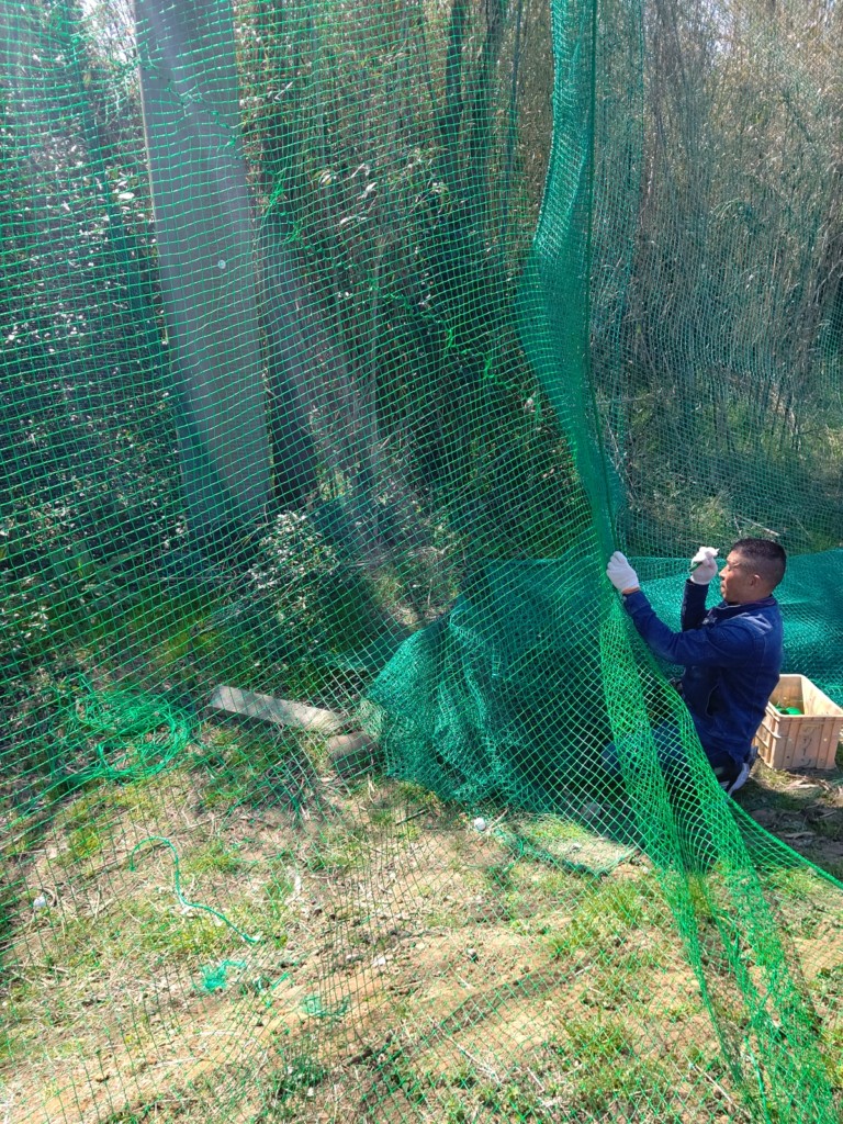 ゴルフ練習場防球ネット補修工事