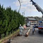 コンクリートポール入替工事