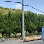 コンクリートポール入替工事