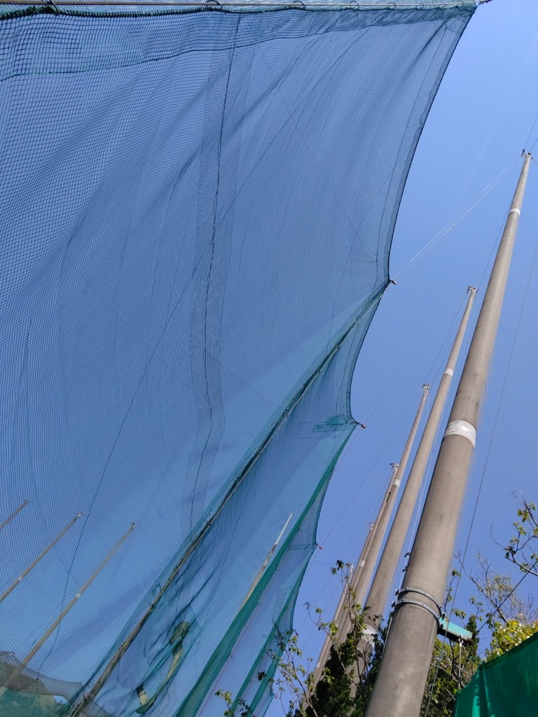 ネット補修工事