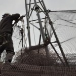 頭ワイヤー、ネット復旧工事