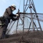 頭ワイヤー、ネット復旧工事