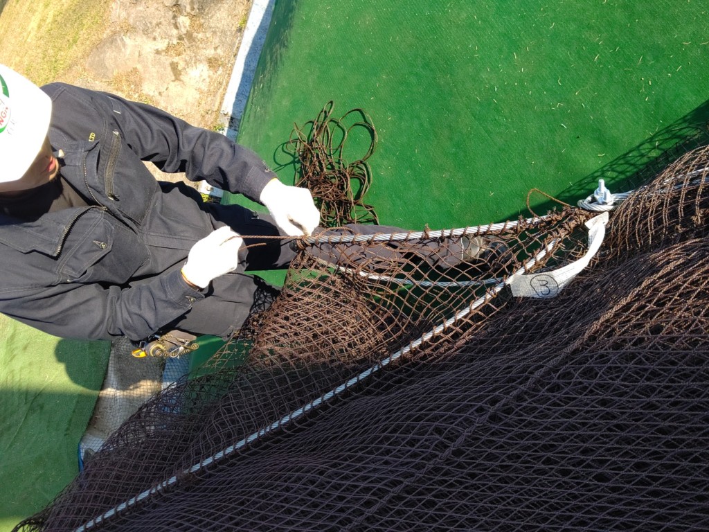 右サイドネット張替工事