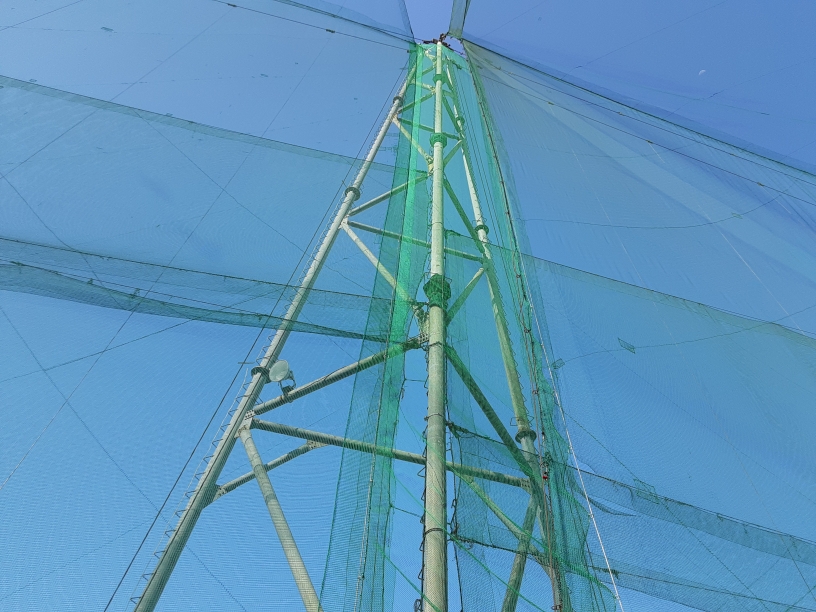 ネット一部張替工事