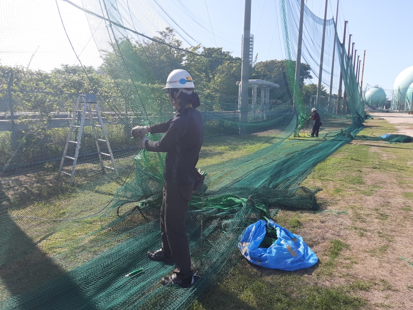 帯ネット交換他工事