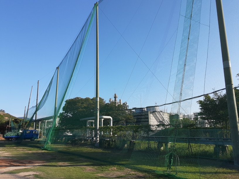 帯ネット交換他工事