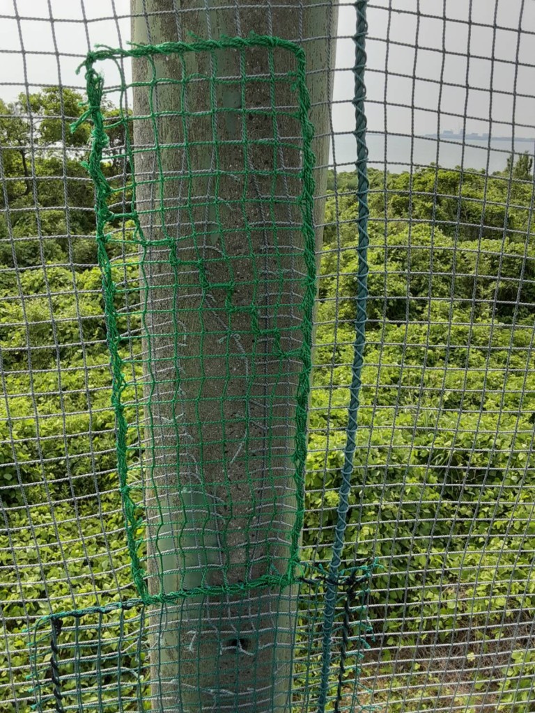 ネット補修工事