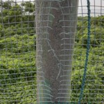 ネット補修工事