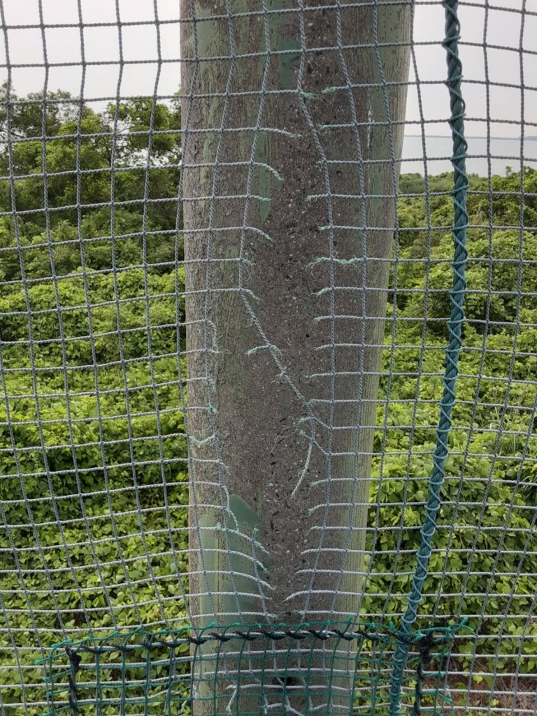 ネット補修工事