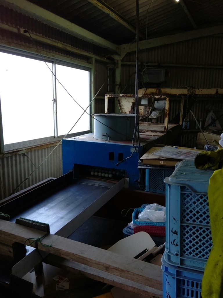 ボール洗浄機入替工事