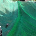 法面防球ネット工事