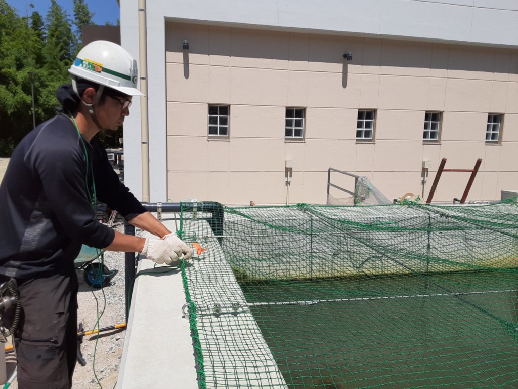 ネット設置工事