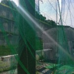 左サイド固定ネット張工事