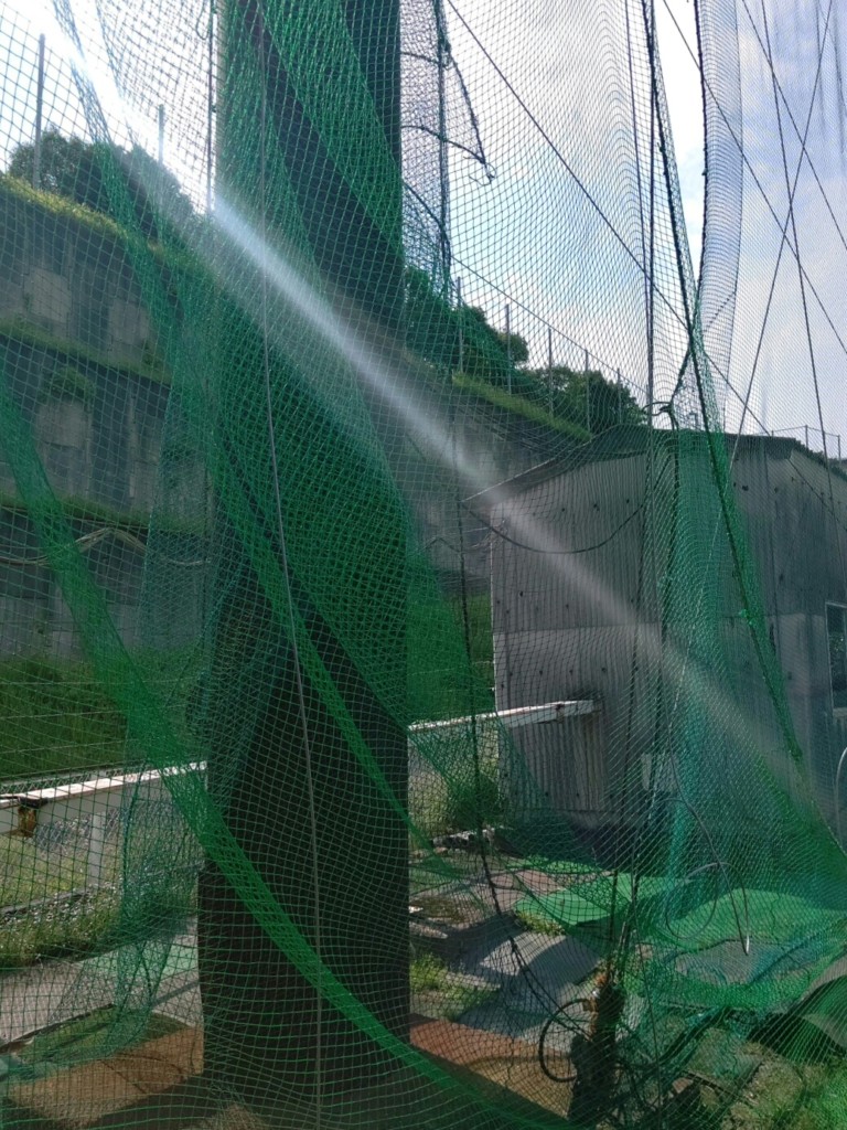 左サイド固定ネット張工事