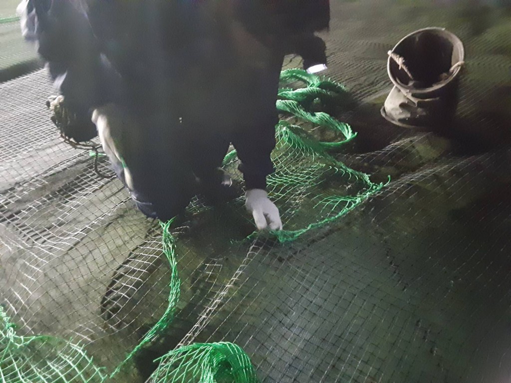 防球ネット補修工事