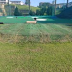 目標グリーン設置工事