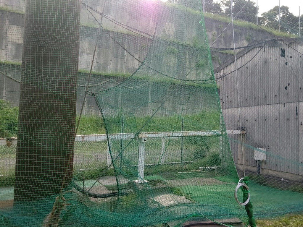 左サイド固定ネット張工事