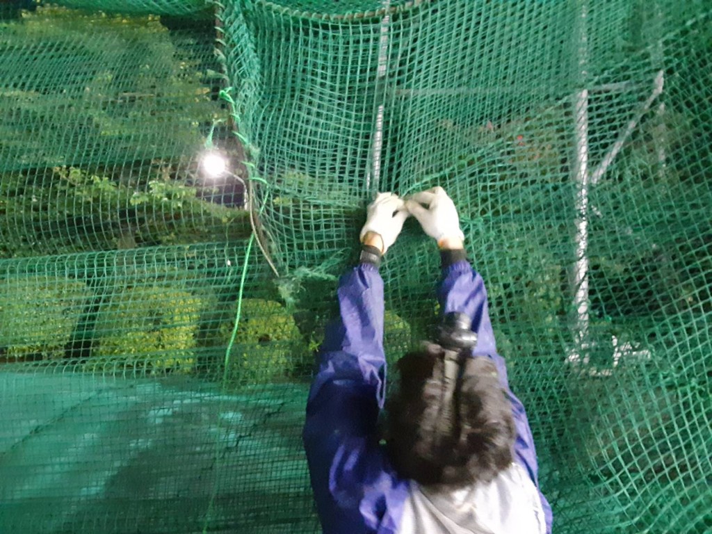 防球ネット補修工事