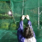 防球ネット補修工事