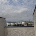 ネット設置工事