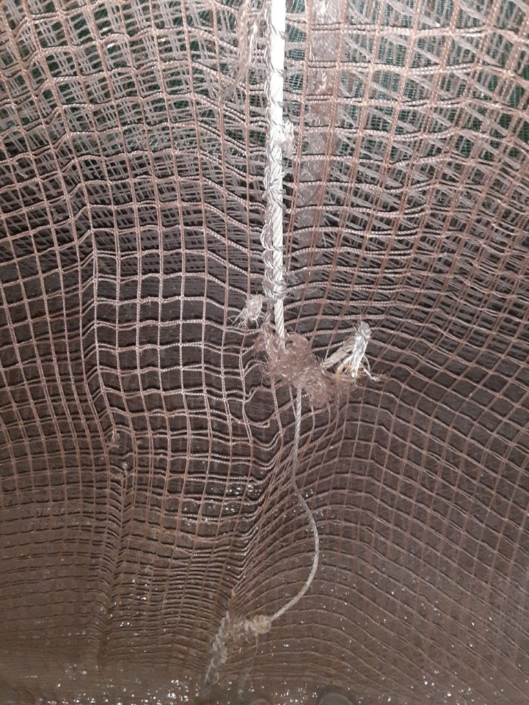 ネットワイヤーリング補修工事