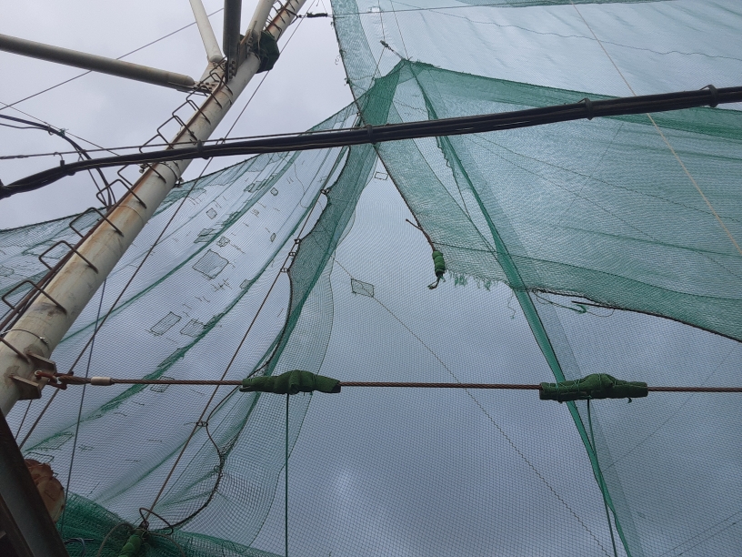 固定ネット復旧工事