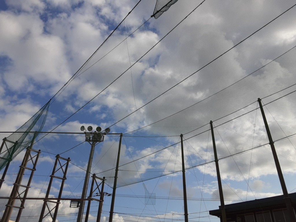 天井ネット張替工事