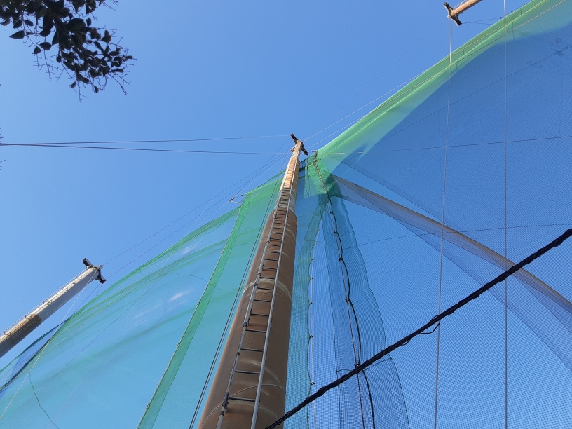 ワイヤー交換工事