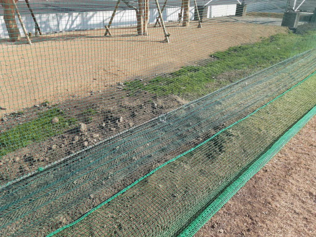 下タレネット増設工事