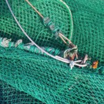 ワイヤー交換工事