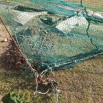 アンカー復旧工事