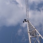 ワイヤー交換工事