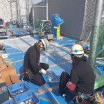 落下防止ネット設置工事