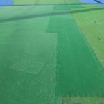 人工芝補修工事