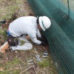 ガイドワイヤー交換工事