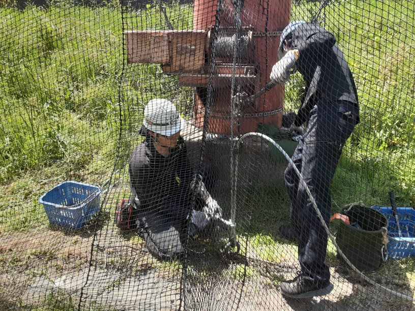 防球ネット張替工事