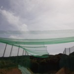 巻きワイヤー交換及び天井ネット補修工事