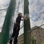 バックネット一部張替工事