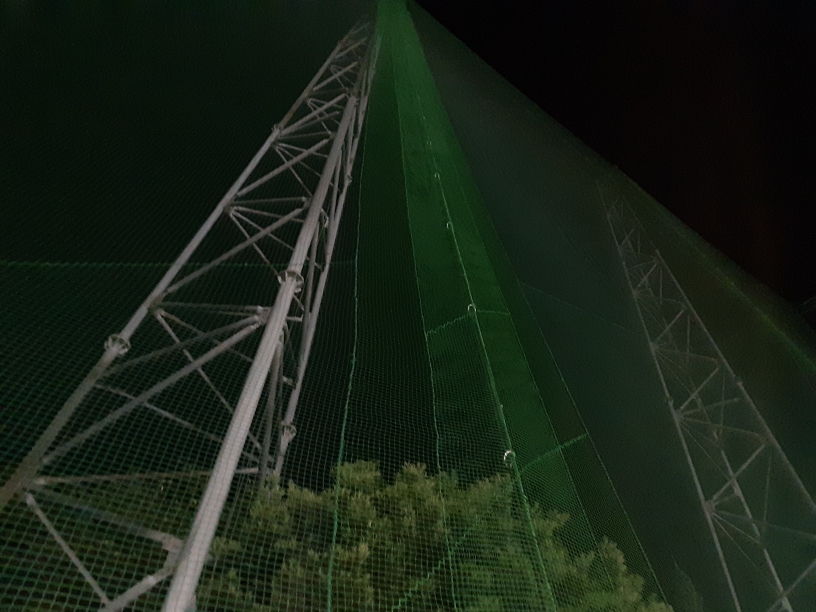 帯ネット交換工事