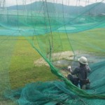 帯ネット交換他工事