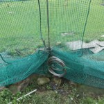 ガイドワイヤー交換工事