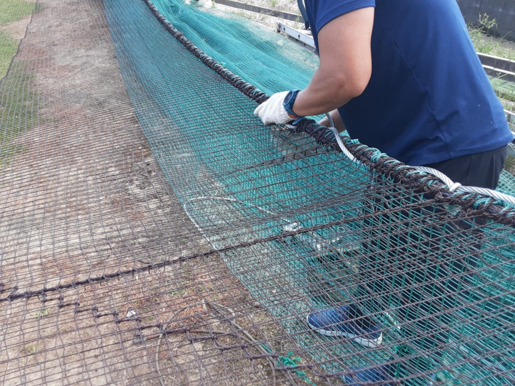 天井ネット増設工事