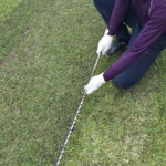 天井ネット増設工事