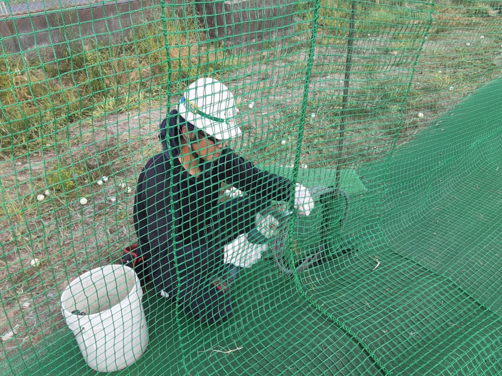 左サイド一部防球ネット張替工事