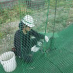 左サイド一部防球ネット張替工事