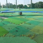 目標グリーン貼替工事