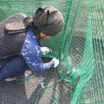 防球ネット設置工事