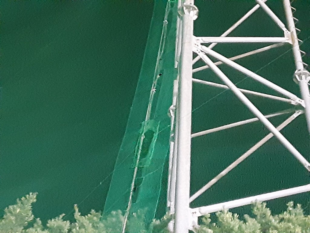 帯ネット交換工事