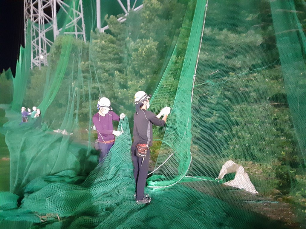 帯ネット交換工事