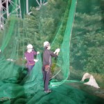 帯ネット交換工事